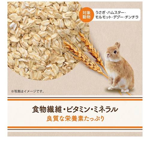 GEX ヘルシーレシピ オートミール 150g ◆賞味期限 2026年4月