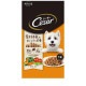 シーザードライ 成犬用 ラムと4種の農園野菜入り 小粒 (700g)CSR93 ◆賞味期限 2027年1月