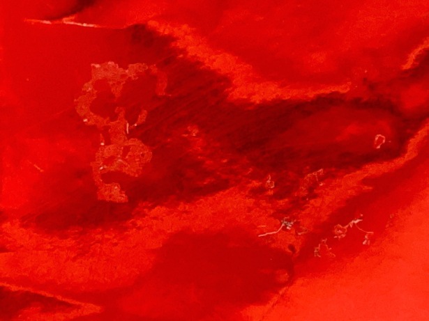 【訳あり】3個セット！コンボ ビューティープロ いなば CIAO 香り立つお魚ちっぷ 成猫 ◆賞味期限 2026年3月