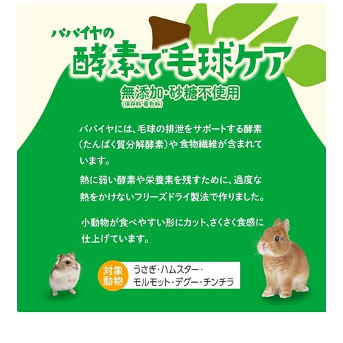 完熟 とこなつパパイヤ(5g) ◆賞味期限 2026年3月