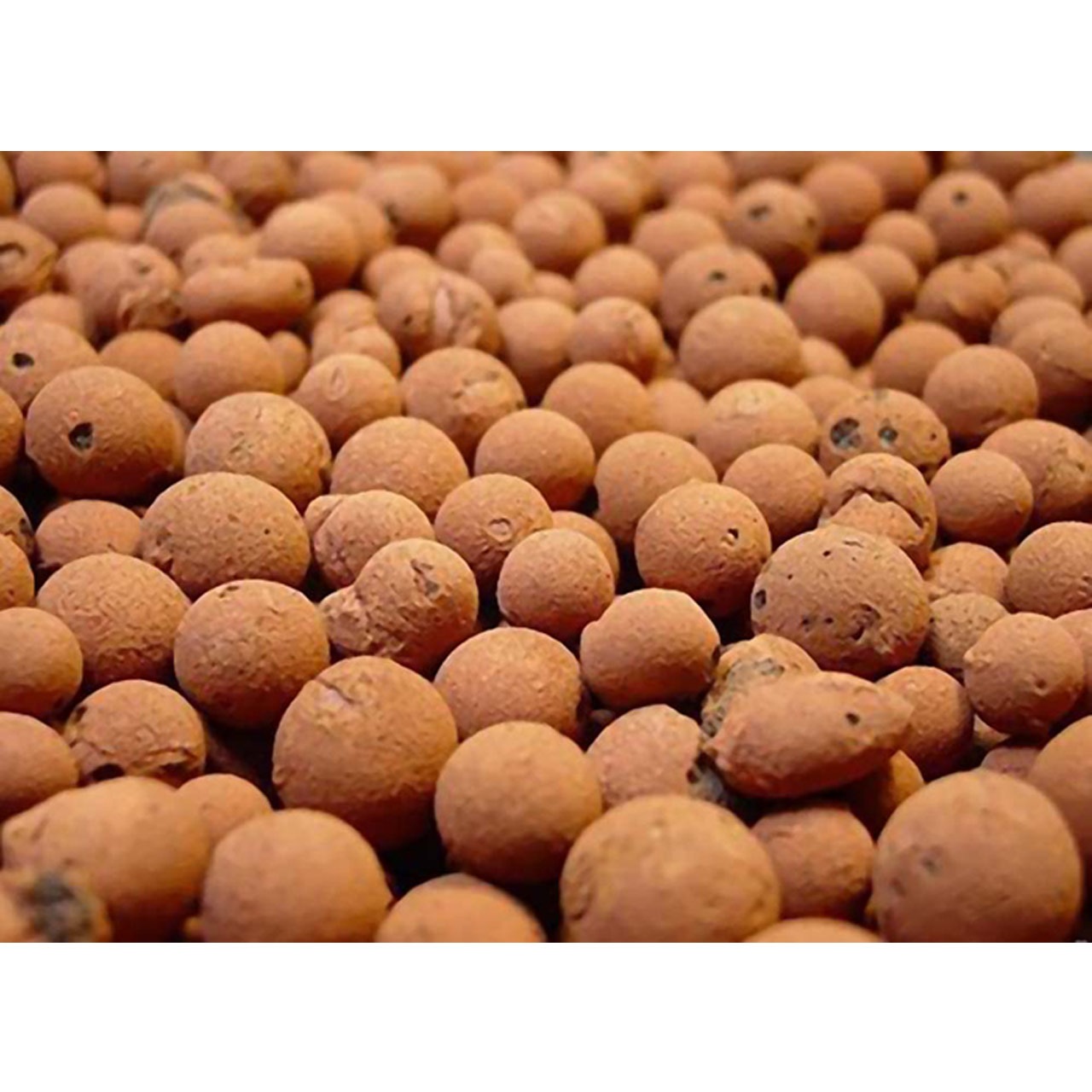 Mother Earth Hydroton ハイドロトン 50L（拡張された粘土の小石） ★ 10 PACK セット