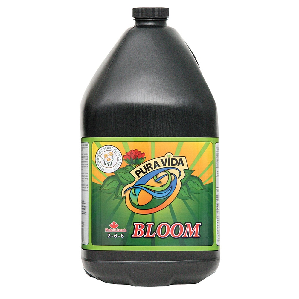 Technaflora Pura Vida Bloom プラビダ ブルーム