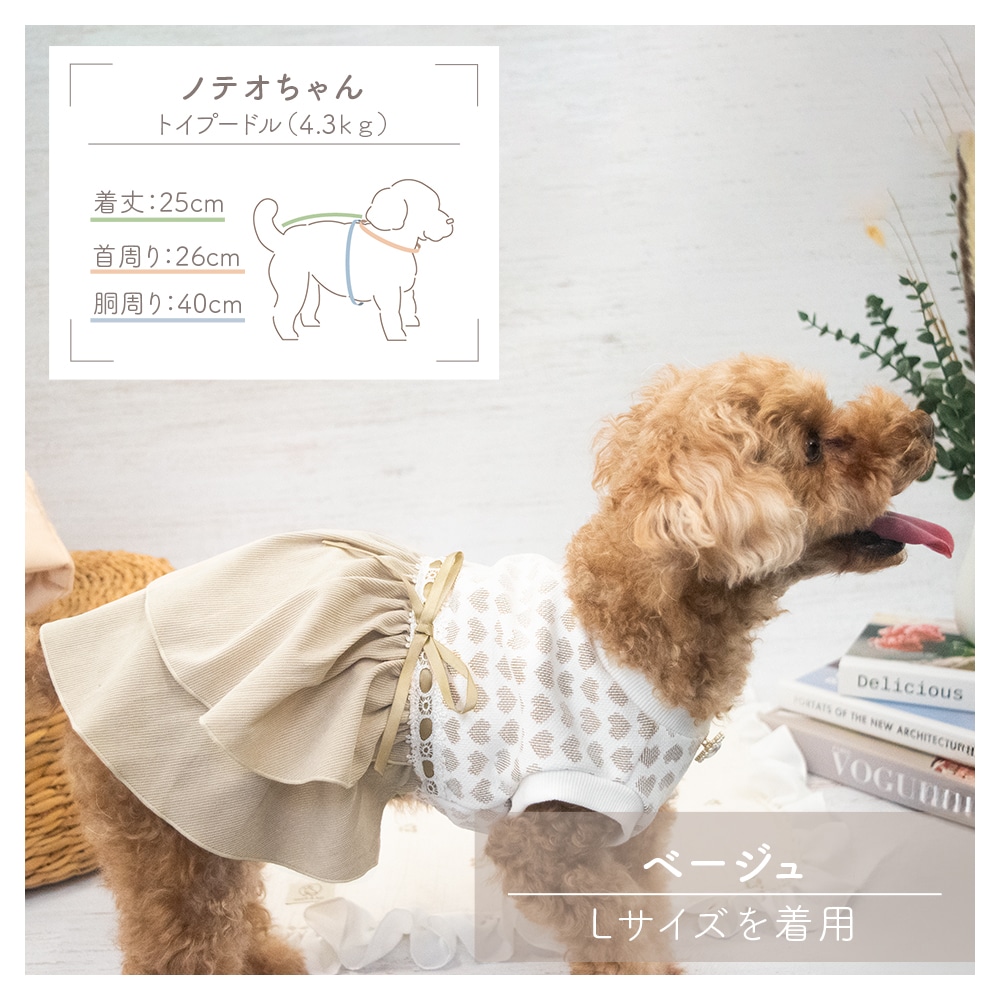 犬服 SS わんこの普段着　オレンジに車 犬服 SS わんこの普段着オレンジに車