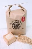【令和7年度産】愛知県犬山産 お米「あいちのかおり」5kg｜ココトモファーム【農家直送】