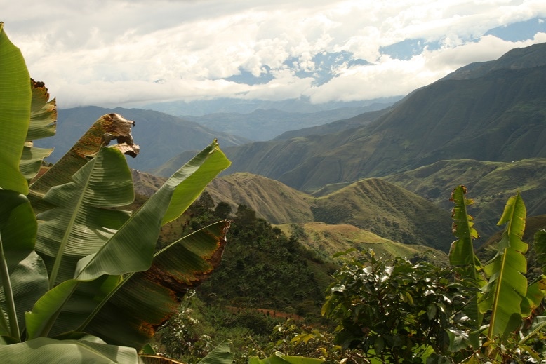 ӥʥˡ˥硦ץ100ե俷᡼