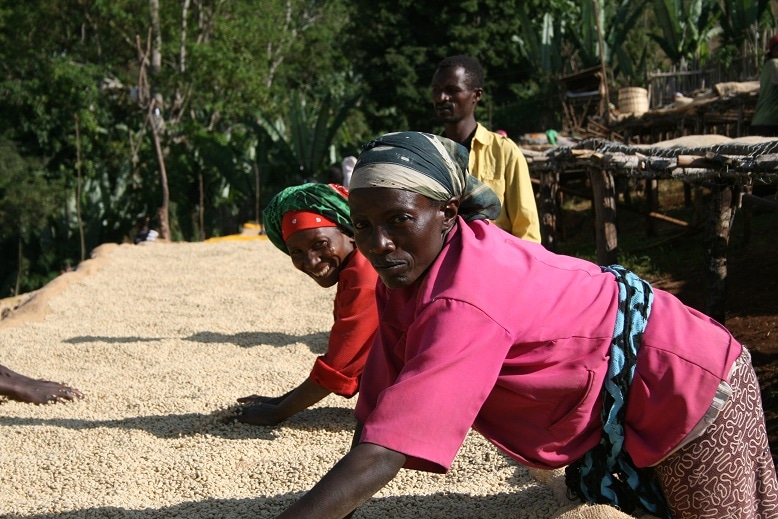 �������ԥ��㥰�����ϥ�٥�/�����ڥǥå���-�ʥ�����-1������㥷�ƥ��俷�᡼��������