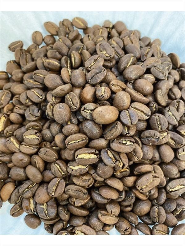 �ᥭ������SHG�������ѥ���ͭ��������Ʀ���ѡˡ�(200g)