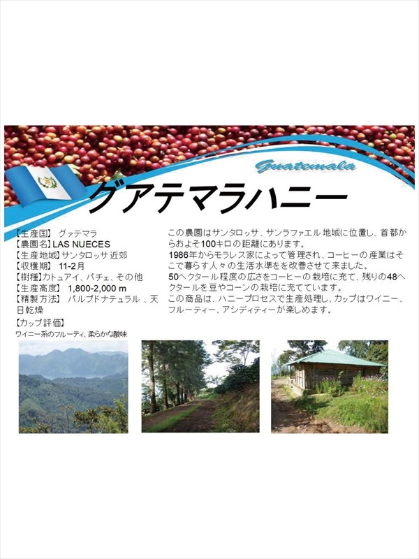 グアテマラ ハニー (200g)