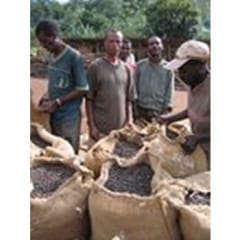 �������ԥ�(���ƥ���������)�㣵����g��