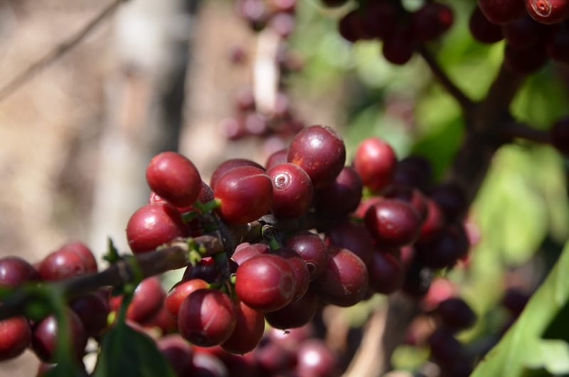 �����ƥޥ�(���ƥ���������)�㣵����g��