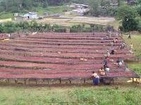 �������ԥ����ʥ�����(�ե�����������)�㣲����g��