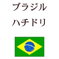 ֥饸롡ƥࡡϥߥ󥰥Сɡʥϥɥ