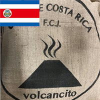 �������ꥫ���ܥ륫�󥷡������� SHG