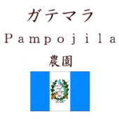 ƥޥ顡Pampojila 쥤ե쥹