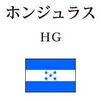 �ۥ󥸥�饹��HG