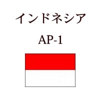 ����ɥͥ�����AP-1
