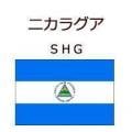�˥��饰�� SHG