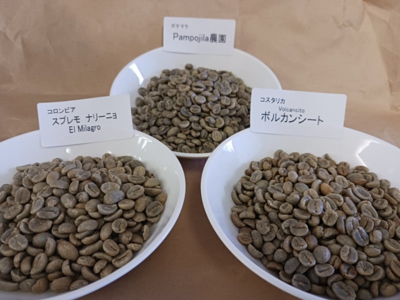 33ʥѥݥࡢץ⥨ߥ饰ܥ륫󥷡ȡ˳1