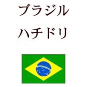 ֥饸롡ƥ쥰ࡡϥߥ󥰥Сɡʥϥɥˡ500g