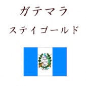 ƥޥ顡ƥʥʥƥɡˡ500g