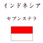 ɥ֥ͥ󥹥ƥ (ޥǥG1ˡ500