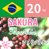 ����5Ȣ��������֥�ܥ�(�ʥ�����)  ���ޡ�20kg�ˢ���ʧ���Τ�