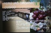 ڥ롼G1JAS ORGANICͭ