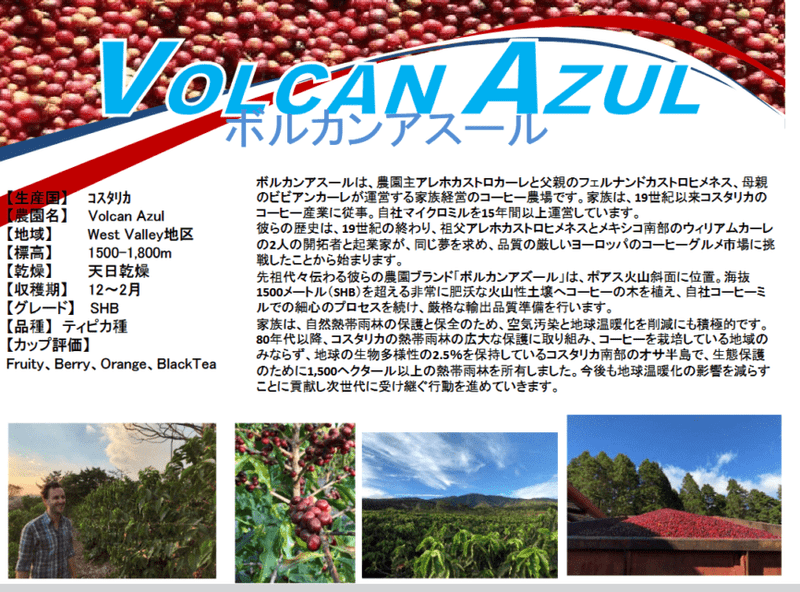 �������ꥫ���ܥ륫�󥢥����롡�ƥ��ԥ������̸����ʡ�