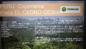�ڥ롼��Finca EL��CEDRO��GESHA��G1