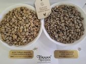 ����10�ġ��ȥ饸�㡪�Ƥ���٤ƤΤ���٤��500g�ʥ������ɥȥ饸��ޥޥ����ȥ饸��ޥޥ��˥ͥ��ݥ���