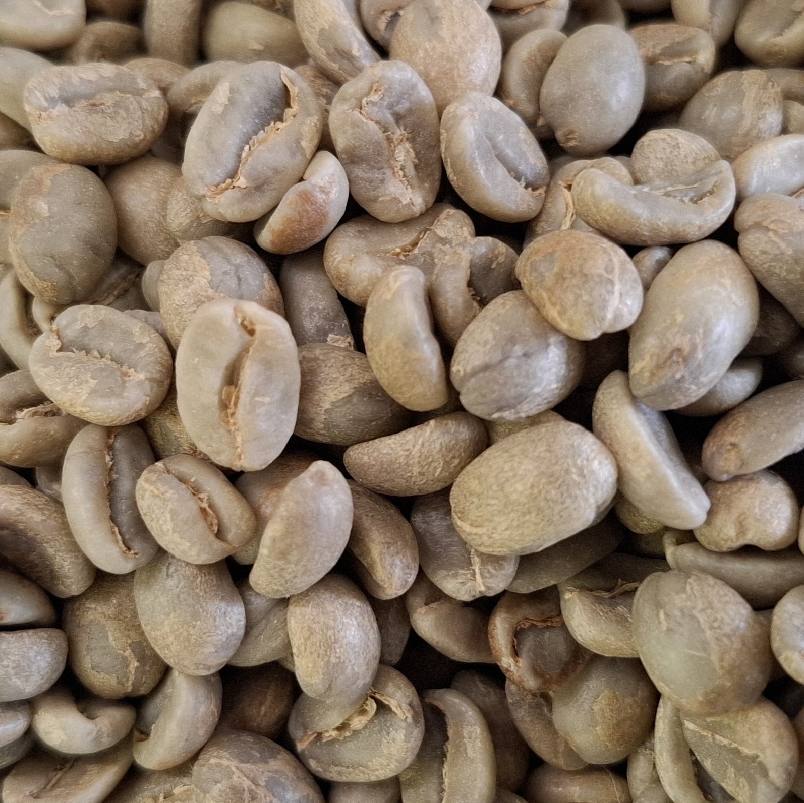 PERU��Las ��Orquideas��Women��s��Coffee����G1�ˡ�