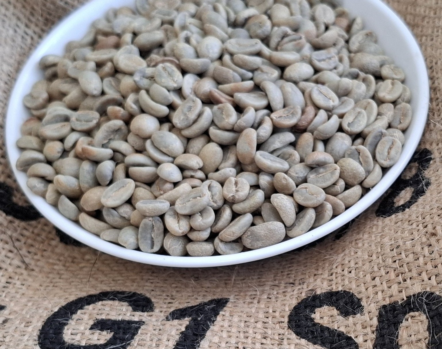 Finca EL��CEDRO��GESHA��G1��500g