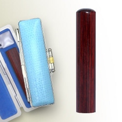 �����ˡ������������������ˡ���������