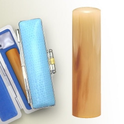 ��������������塡�����������������ˡ���������