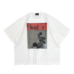 kolor(顼) ٵͥϡŷץT