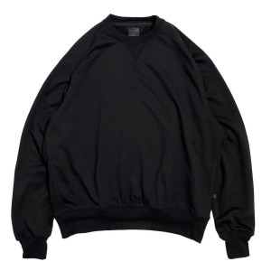 DAIWA PIER39(ԥ39) TECH SWEAT CREW FREEDOM SLEEVE