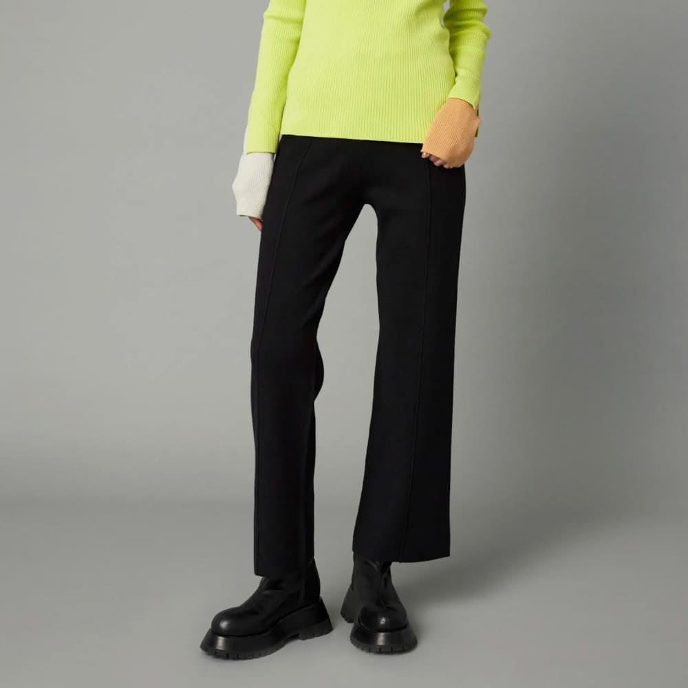 HeRIN.CYE(ヘリンドットサイ) Pin tuck pants