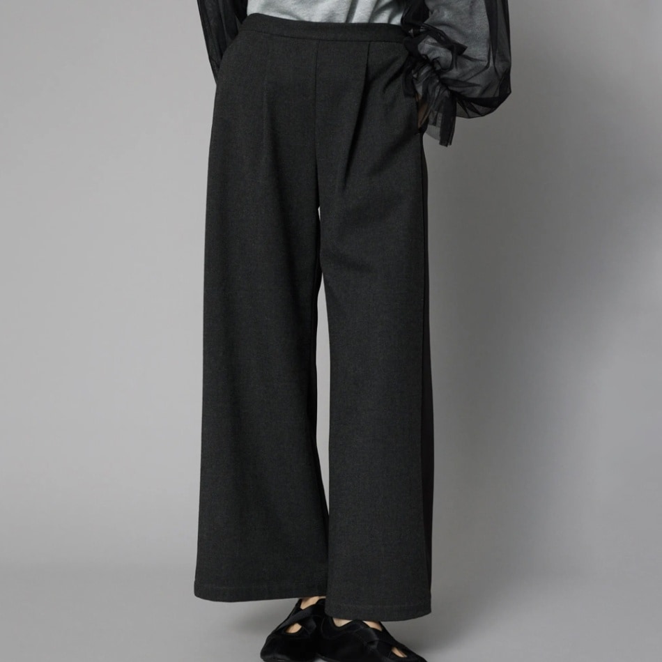 HeRIN.CYE(ヘリンドットサイ) Bi color wide pants