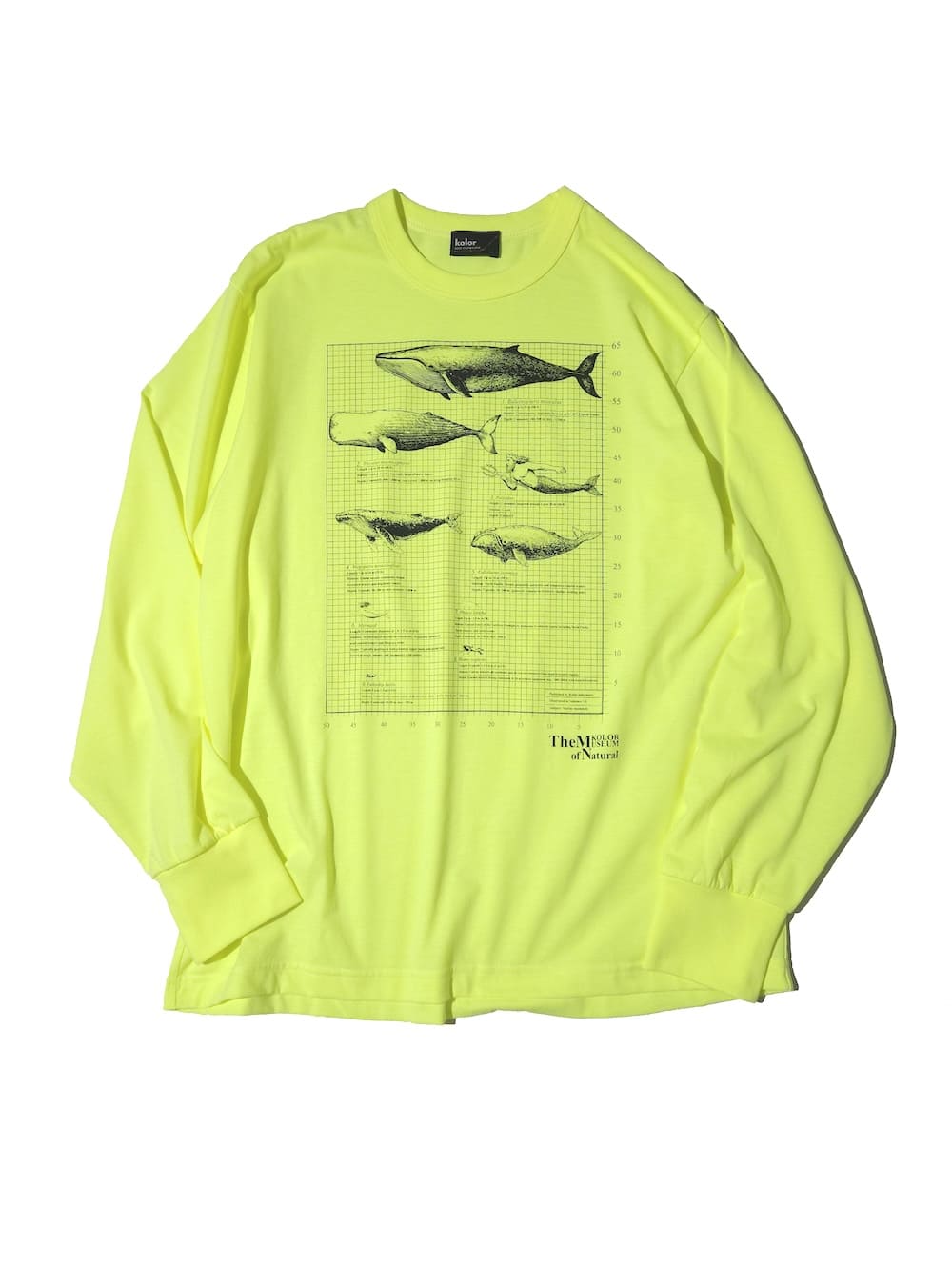 kolor(カラー) Tops