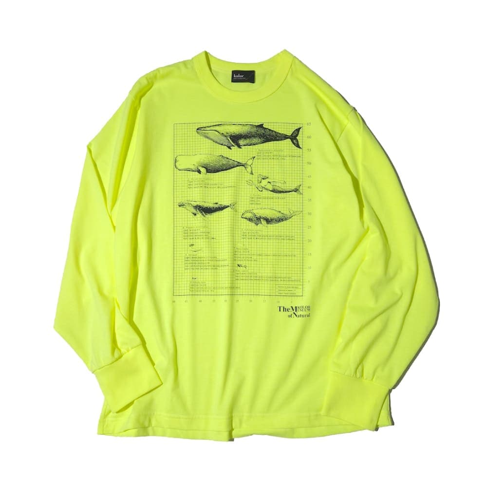 kolor(カラー) Tops