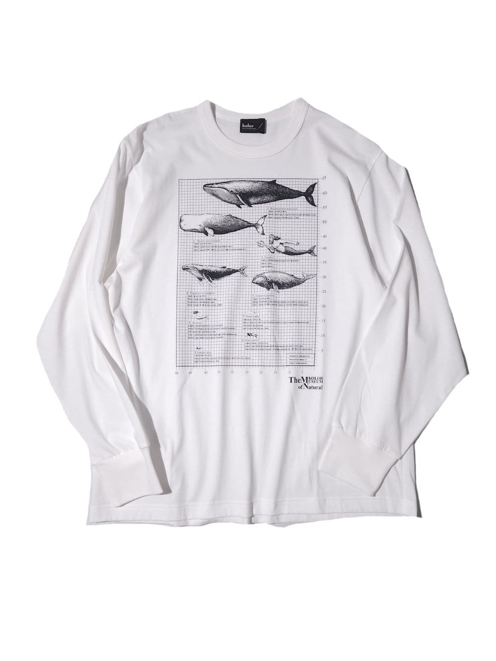kolor(カラー) Tops