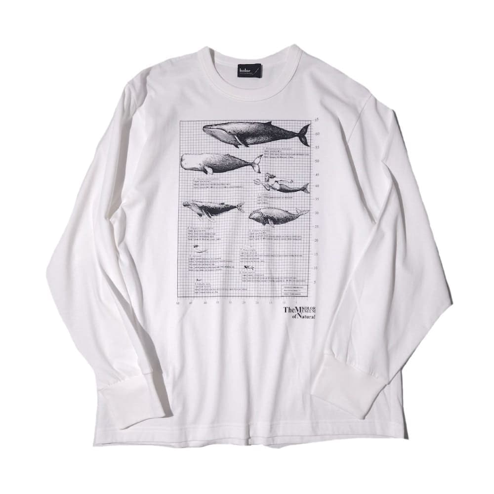 kolor(カラー) Tops