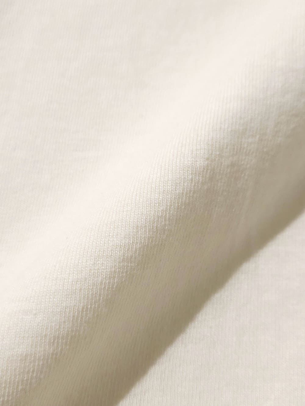 【SALE】blurhmsROOTSTOCK(ブラームスルーツストック) ALE-Y 88/12 Print Tee WIDE