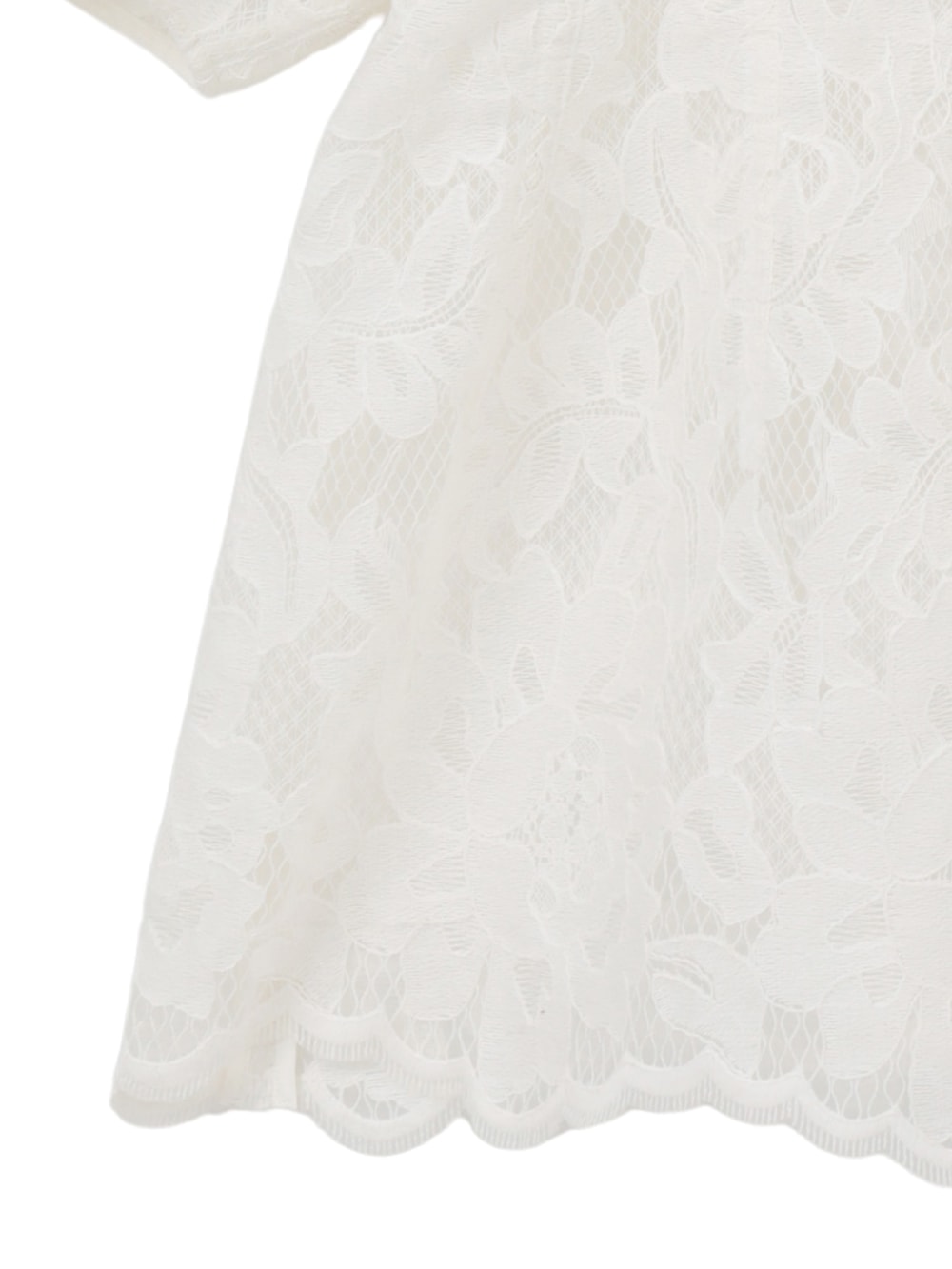 CLANE(クラネ) FLOWER LACE WAIST SHAPE TOPS - COLDBECK ONLINE