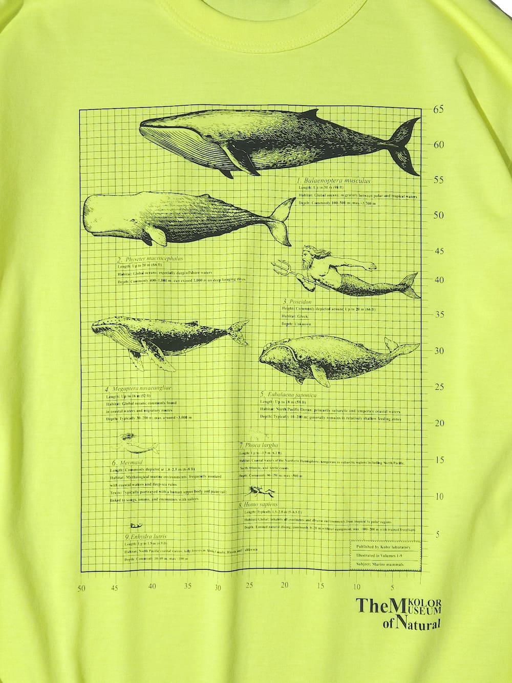 kolor(カラー) Tops