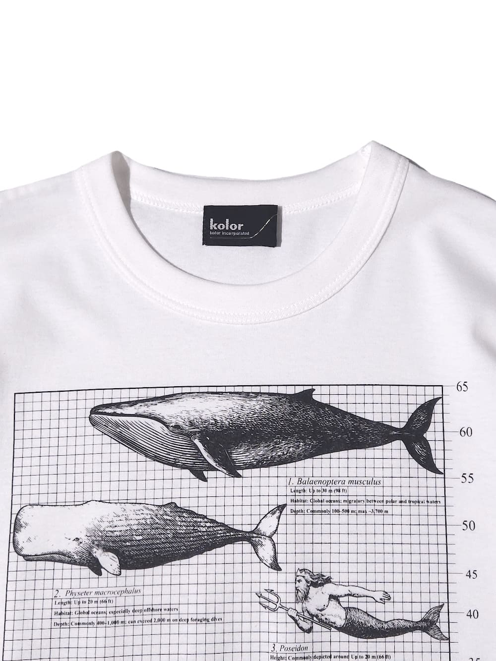kolor(カラー) Tops
