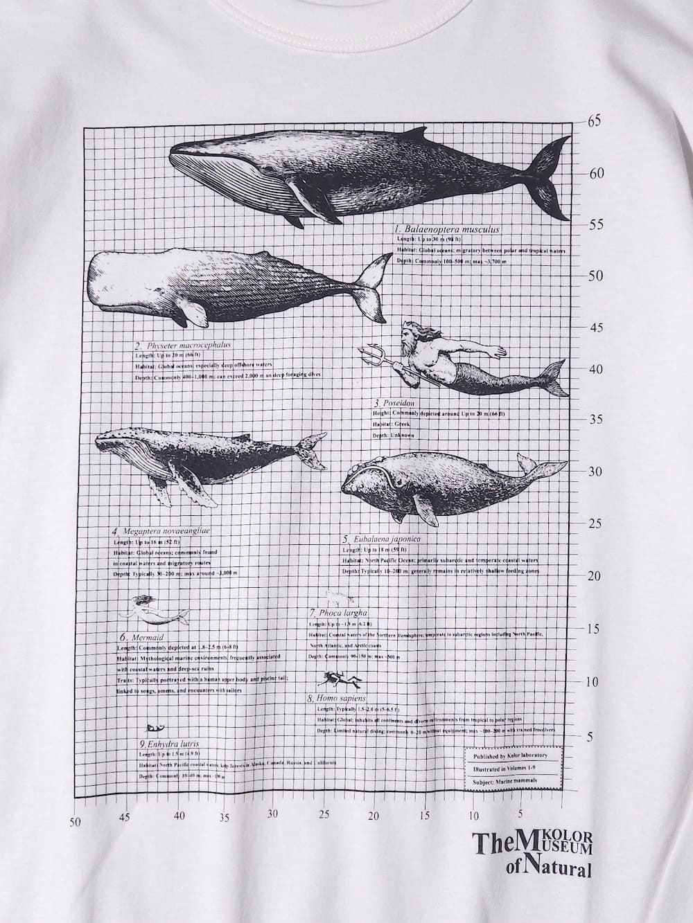 kolor(カラー) Tops