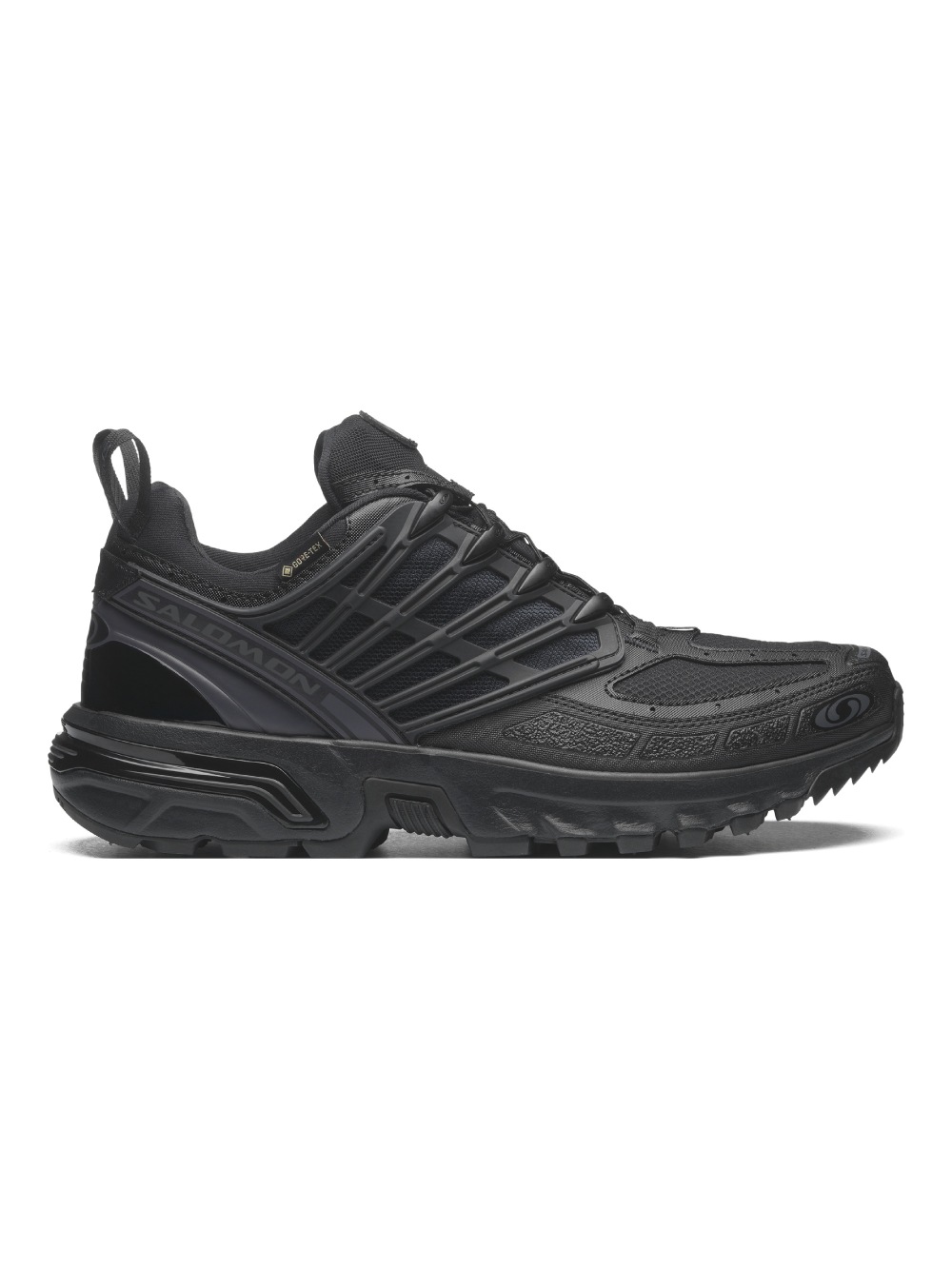 SALOMON(サロモン) ACS PRO GORE-TEX