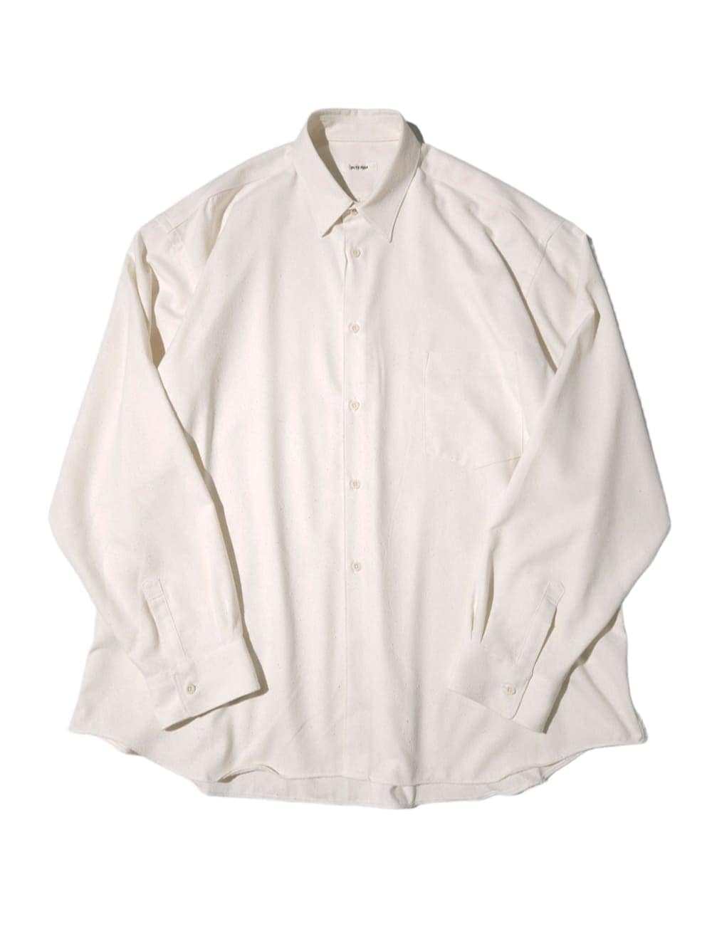 INTERIM(インテリム) SILK NOIL L/S REGULAR COLLAR SHIRT - COLDBECK