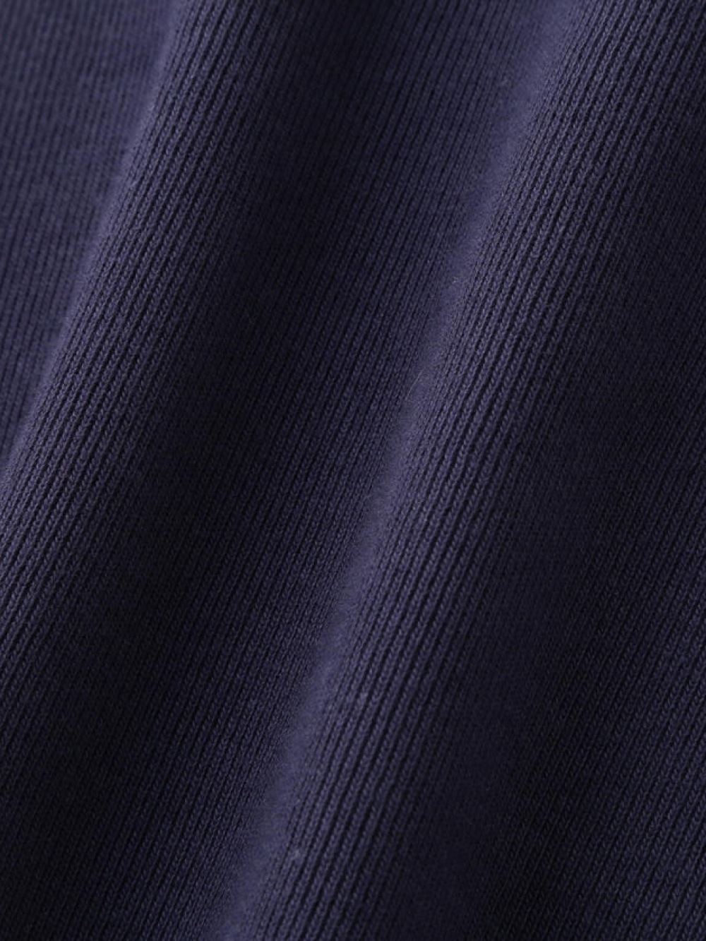 YLEVE(イレーヴ) COTTON RIB PULLOVER - COLDBECK ONLINE（コール